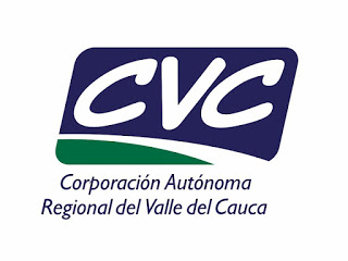 CVC BUSCA DIRECTOR