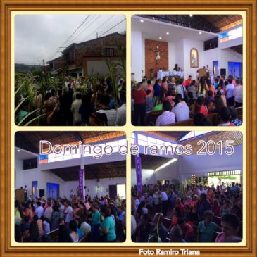 Domingo de Ramos 2015
